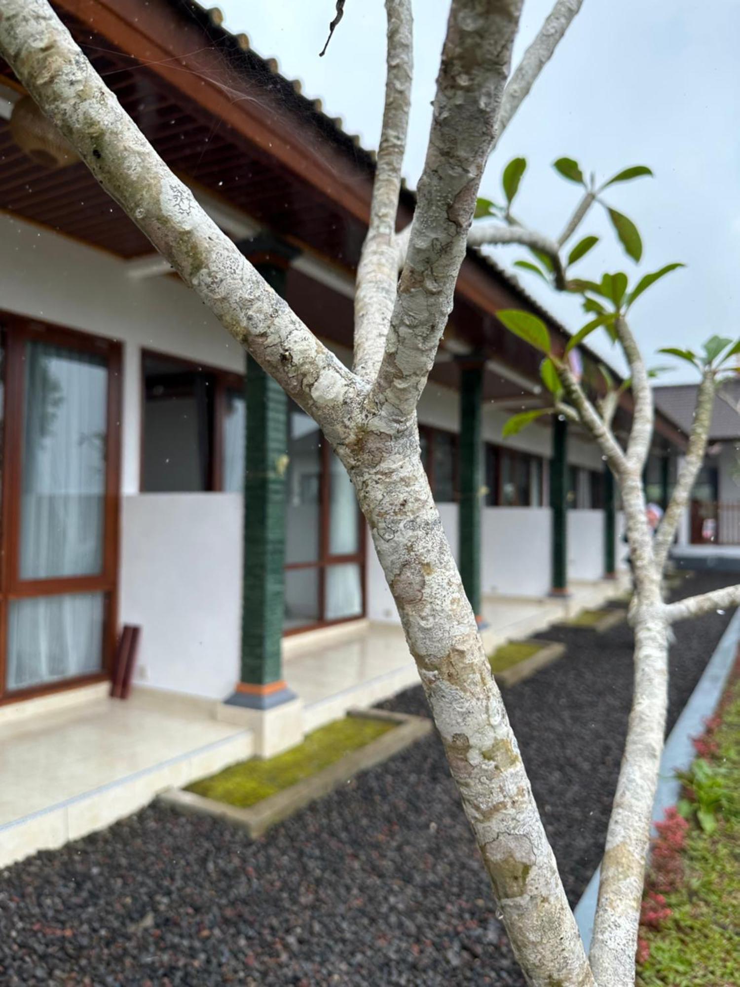 Apartament Bali Basuki Retreat Center Besakih Zewnętrze zdjęcie