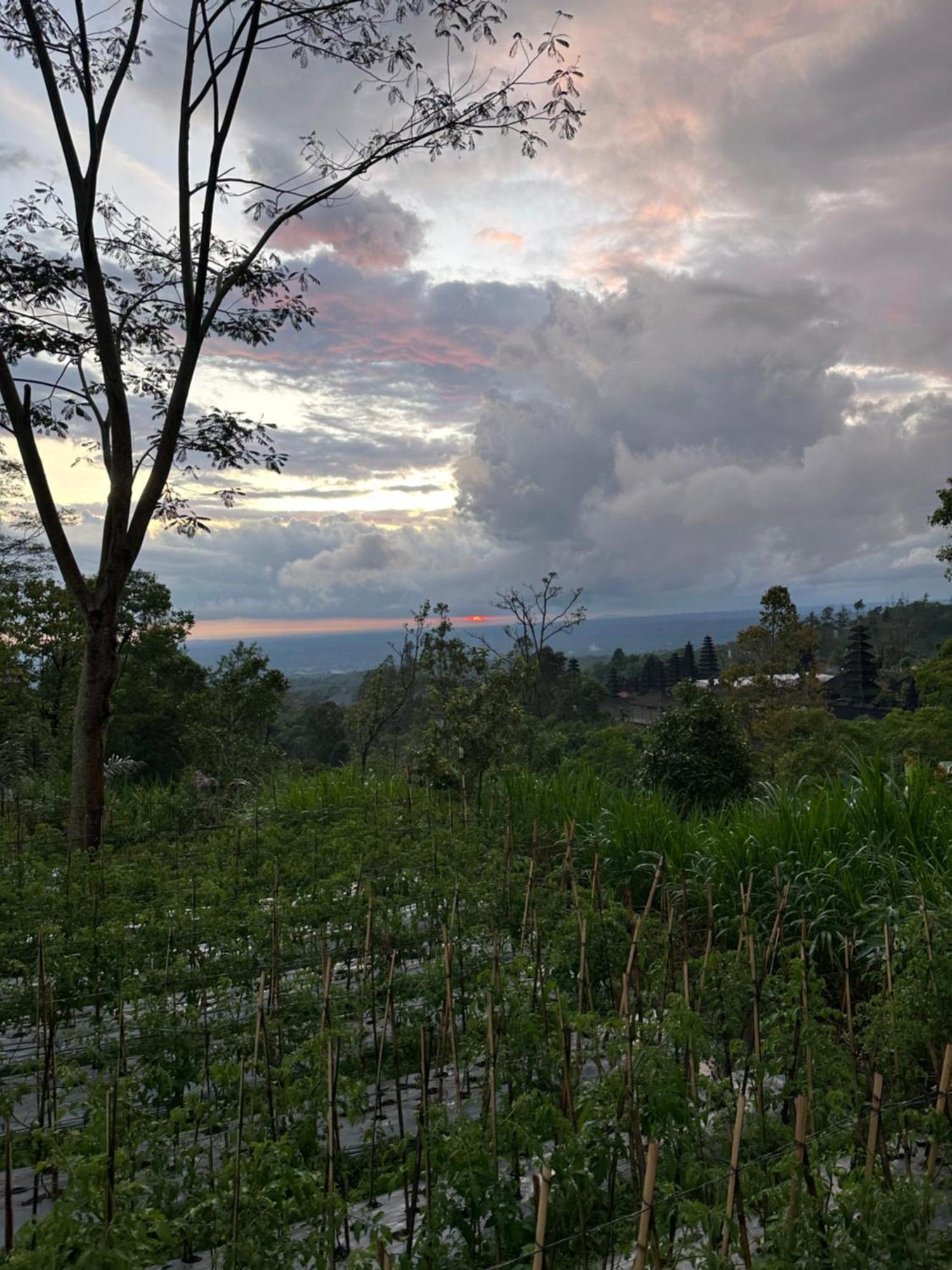 Apartament Bali Basuki Retreat Center Besakih Zewnętrze zdjęcie